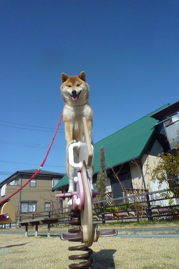 馬の乗り物
