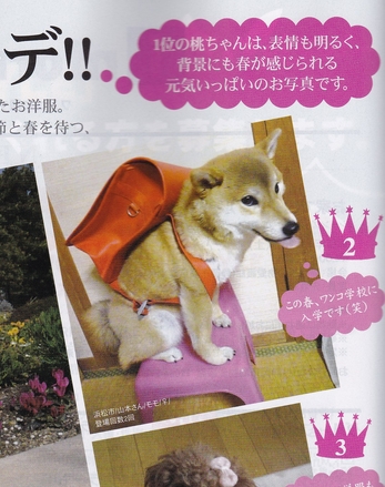 『WONDERFUL STYLE』の春気分♪で2位に!