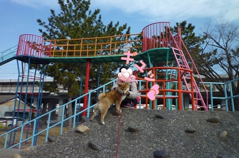 また猿山