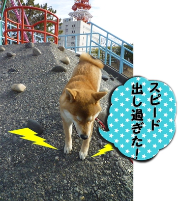 また猿山