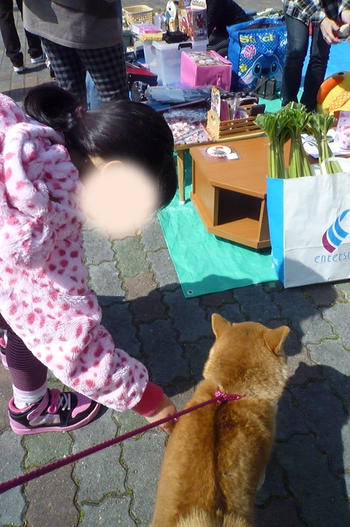 フリマへ行ってきました フリマへ行ってきました