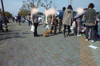 フリマへ行ってきました フリマへ行ってきました