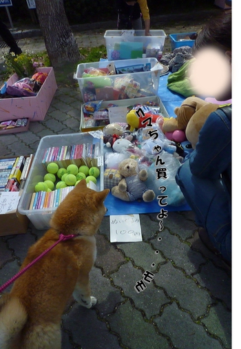 フリマへ行ってきました フリマへ行ってきました