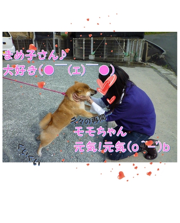 引佐の犬舎へシャンプーに 引佐の犬舎へシャンプーに