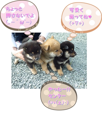 引佐の犬舎へシャンプーに 引佐の犬舎へシャンプーに