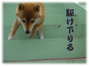 モモが1等 モモが1等