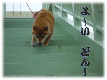 モモが1等 モモが1等