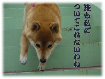 モモが1等 モモが1等