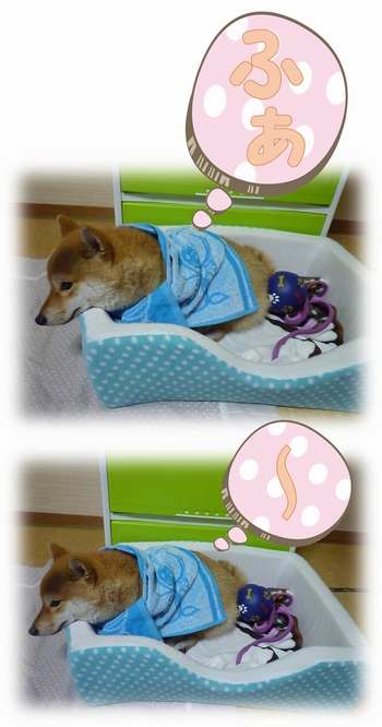 ま~きまき♪ ま~きまき♪