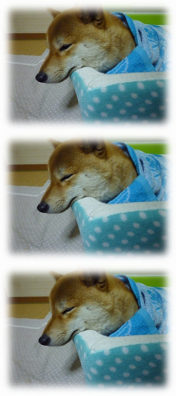 ま~きまき♪ ま~きまき♪