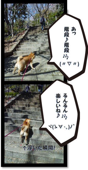 浜松城公園を散策 浜松城公園を散策