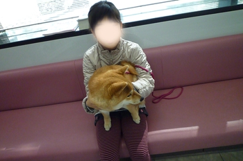 狂犬病の予防接種 狂犬病の予防接種