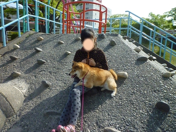 いつもの公園 いつもの公園