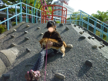 いつもの公園 いつもの公園
