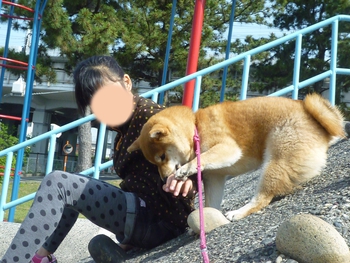 いつもの公園 いつもの公園