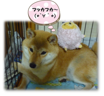 大好きな 大好きな