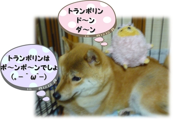 大好きな 大好きな