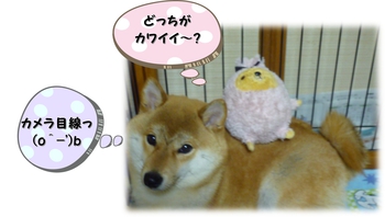 大好きな 大好きな