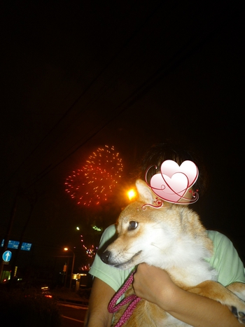 花火大会その2 花火大会その2