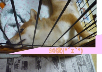 直角 直角
