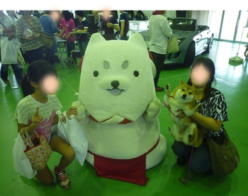 ドックフェスタへ行って来ました ドックフェスタへ行って来ました