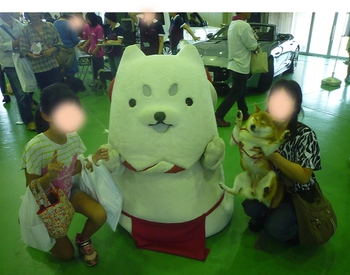 ドックフェスタへ行って来ました ドックフェスタへ行って来ました