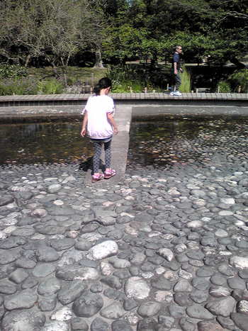 みどり~な(浜松市緑化推進センター)へ みどり~な(浜松市緑化推進センター)へ