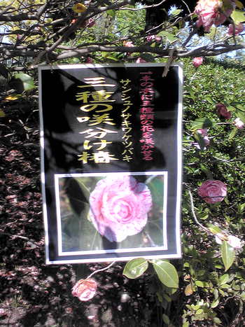 みどり~な(浜松市緑化推進センター)へ みどり~な(浜松市緑化推進センター)へ