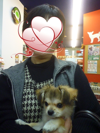 お姉ちゃん家のハルくん♡ お姉ちゃん家のハルくん♡
