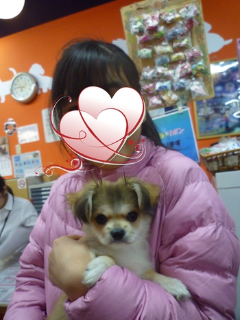 お姉ちゃん家のハルくん♡ お姉ちゃん家のハルくん♡