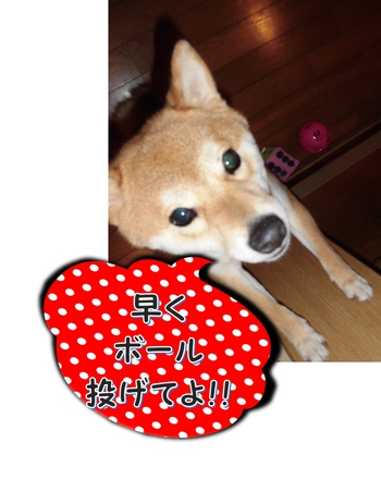 楽しいね=^-^= 楽しいね=^-^=