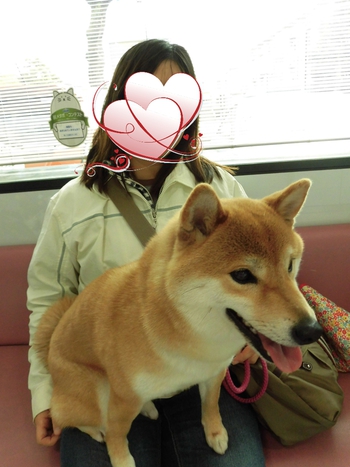 キフジ動物病院へ キフジ動物病院へ