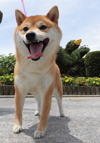 遠州灘海浜公園へ 遠州灘海浜公園へ