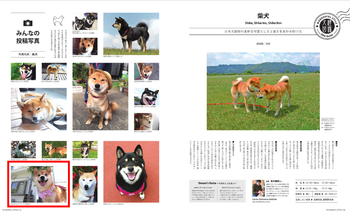 『WoderfulStyle』7月号 『WoderfulStyle』7月号