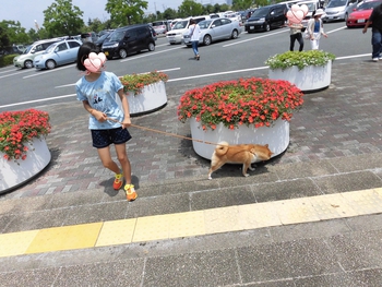 遠州灘海浜公園へ 遠州灘海浜公園へ