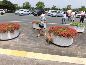遠州灘海浜公園へ 遠州灘海浜公園へ