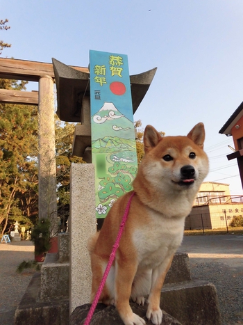 あけましておめでとうございます あけましておめでとうございます