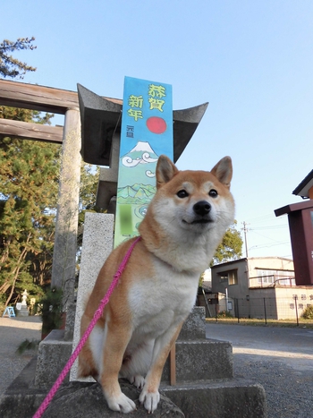 あけましておめでとうございます あけましておめでとうございます