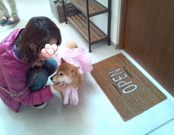 『D’S STYLE DOG MODEL PHOTO CONTEST』 『D’S STYLE DOG MODEL PHOTO CONTEST』