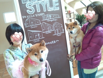 『D’S STYLE DOG MODEL PHOTO CONTEST』 『D’S STYLE DOG MODEL PHOTO CONTEST』