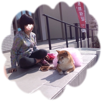 浜松ふれあいフェスティバル 浜松ふれあいフェスティバル