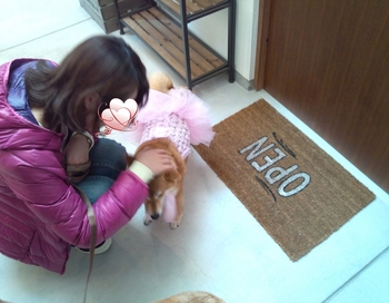 『D’S STYLE DOG MODEL PHOTO CONTEST』 『D’S STYLE DOG MODEL PHOTO CONTEST』