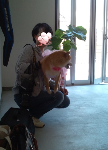 『D’S STYLE DOG MODEL PHOTO CONTEST』 『D’S STYLE DOG MODEL PHOTO CONTEST』