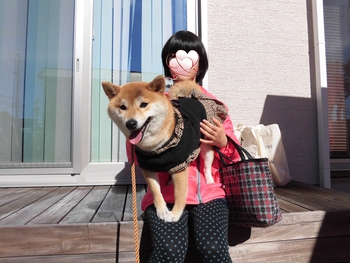 Wonderful Style 『愛犬住宅Festival』へ Wonderful Style 『愛犬住宅Festival』へ