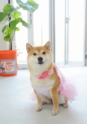 D’S STYLEさんから写真届きました D’S STYLEさんから写真届きました