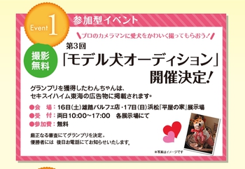 セキスイハイムのタレント犬オーディションへ セキスイハイムのタレント犬オーディションへ