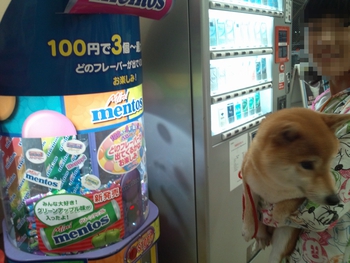 初めてのメントス自販機(^・ェ・^) 初めてのメントス自販機(^・ェ・^)