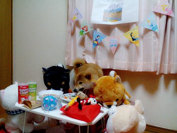 Happy Birthday☆可愛すぎる首かしげ☆ Happy Birthday☆可愛すぎる首かしげ☆