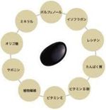 今年のクリスマスケーキの新作・北海黒豆の新豆が入りました。 今年のクリスマスケーキの新作・北海黒豆の新豆が入りました。