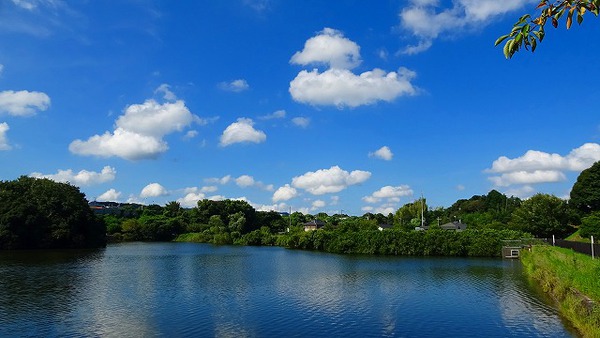 京徳池の雲